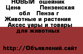 НОВЫЙ  ошейник › Цена ­ 350 - Пензенская обл., Пенза г. Животные и растения » Аксесcуары и товары для животных   